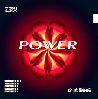 Friendship 729 Bloom Power