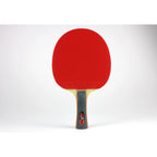 TB5 Alpha Pro-Line With Rozena & Case