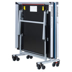 Donic Waldner Classic 25 Table - americantabletennis